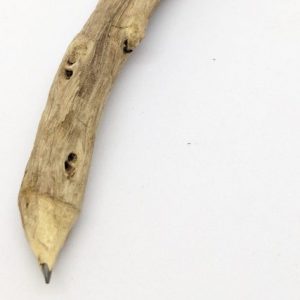 Driftwood Pencil - graphite